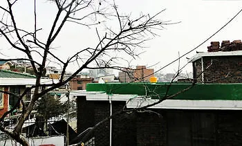 Cozyplace In Itaewon Seoel